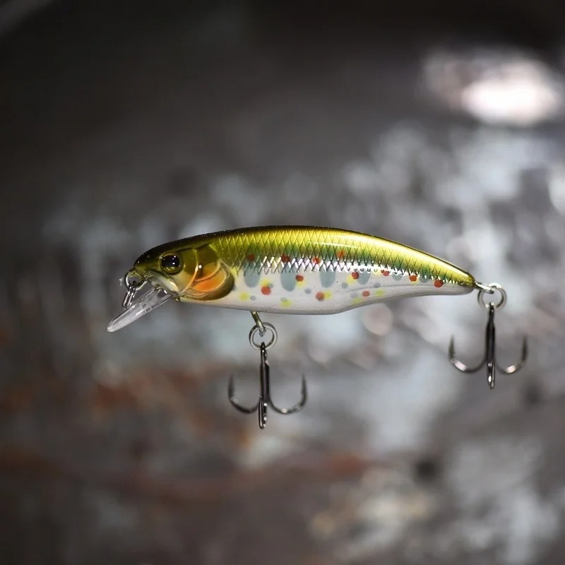 เหยื่อตกปลาแบบจมน้ำ รุ่น Japan - Fishing Equipment Japan บทวิจารณ์และราคา